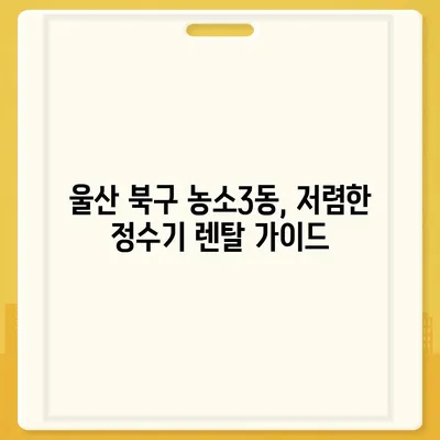 울산시 북구 농소3동 정수기 렌탈 | 가격비교 | 필터 | 순위 | 냉온수 | 렌트 | 추천 | 직수 | 얼음 | 2024후기