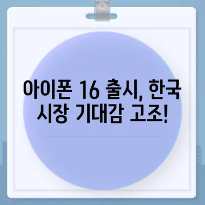 아이폰 16 한국 1차 출시국 확정, 프로 모델 디스플레이 확장