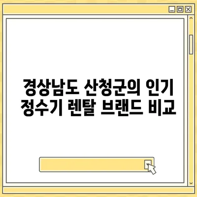 경상남도 산청군 단성면 정수기 렌탈 | 가격비교 | 필터 | 순위 | 냉온수 | 렌트 | 추천 | 직수 | 얼음 | 2024후기