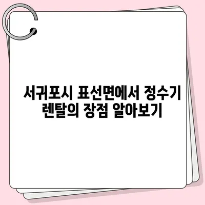 제주도 서귀포시 표선면 정수기 렌탈 | 가격비교 | 필터 | 순위 | 냉온수 | 렌트 | 추천 | 직수 | 얼음 | 2024후기