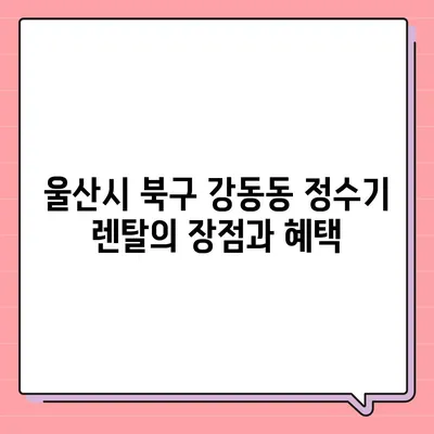 울산시 북구 강동동 정수기 렌탈 | 가격비교 | 필터 | 순위 | 냉온수 | 렌트 | 추천 | 직수 | 얼음 | 2024후기