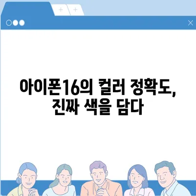 아이폰16 후면 카메라, 실제 색감 재현을 위한 향상된 컬러 정확도