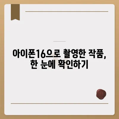 아이폰16 후면 카메라, 거대한 스크린으로 사진 및 비디오 검토 및 편집이 간편함