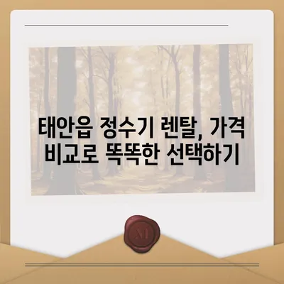 충청남도 태안군 태안읍 정수기 렌탈 | 가격비교 | 필터 | 순위 | 냉온수 | 렌트 | 추천 | 직수 | 얼음 | 2024후기