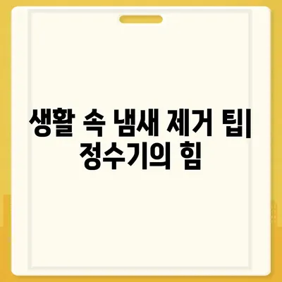 정수기로 냄새 제거 | 집안에 활력과 신선함 불어넣기