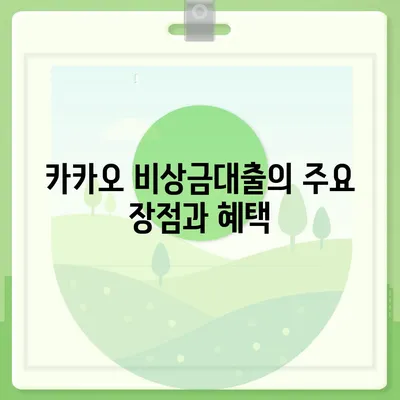 카카오 pc버전 비상금대출