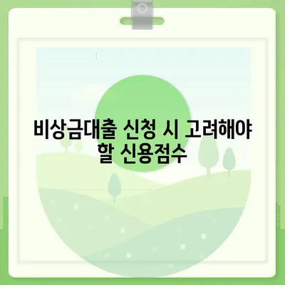 카카오뱅크 비상금대출 신용점수