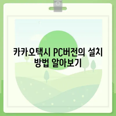 카카오택시 pc버전