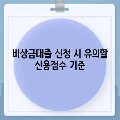 카카오뱅크 비상금대출 신용점수