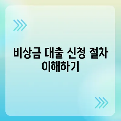 카카오뱅크 비상금 대출 신청법 전수