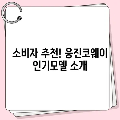 웅진코웨이 얼음정수기 렌탈 | 추천을 따른 완벽한 선택