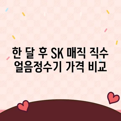 SK 매직 직수 얼음정수기 추천 | 한 달 후 가격 및 후기