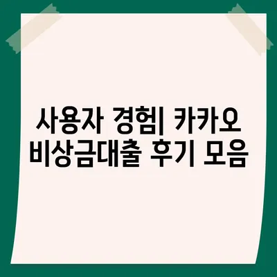 카카오 pc버전 비상금대출