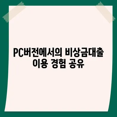 카카오뱅크 pc버전 비상금대출 후기