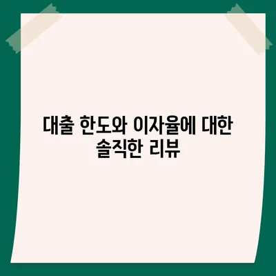 카카오뱅크 pc버전 비상금대출 pc버전 후기