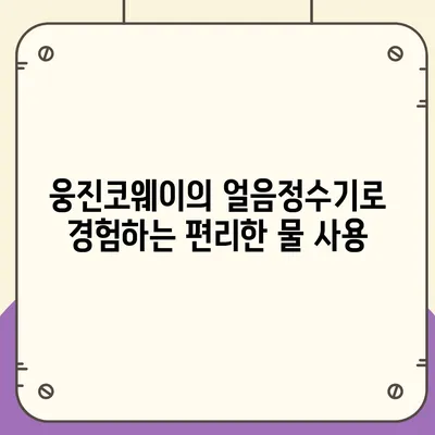 웅진코웨이 얼음정수기 렌탈로 누린 풍성한 장점