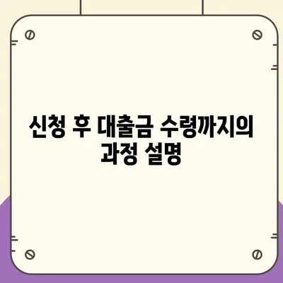 카카오뱅크 pc버전 비상금대출 신청