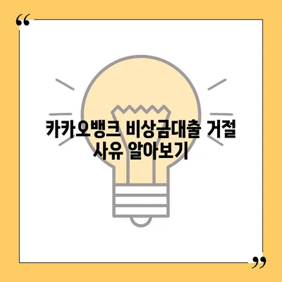 카카오뱅크 비상금대출 거절