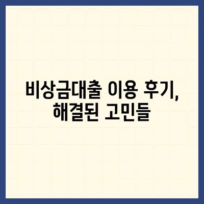 카카오뱅크 pc버전 비상금대출 후기