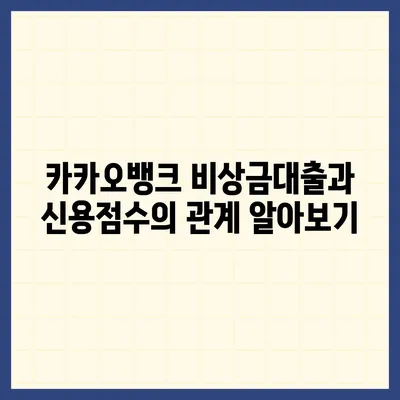 카카오뱅크 비상금대출 신용점수