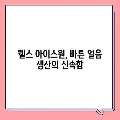 웰스 아이스원 얼음정수기 후기 | 시원한 직수와 건강한 생활