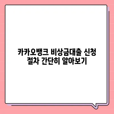 카카오뱅크 pc버전 비상금대출 후기