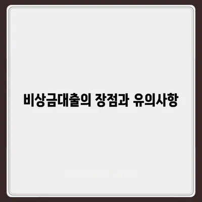 카카오뱅크 pc버전 비상금대출 신청