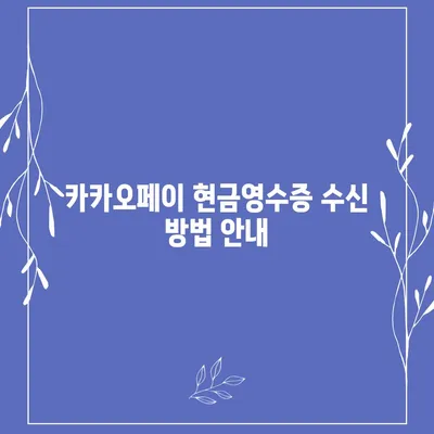 카카오페이 현금영수증 발급 및 확인, 수정 방법