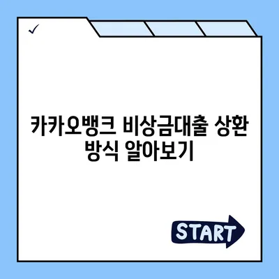 카카오뱅크 비상금대출 상환