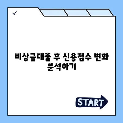 카카오뱅크 비상금대출 신용점수