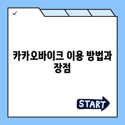 공유 전기 자전거 카카오바이크 후기