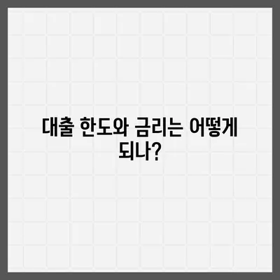 카카오뱅크 비상금 대출 신청 방법