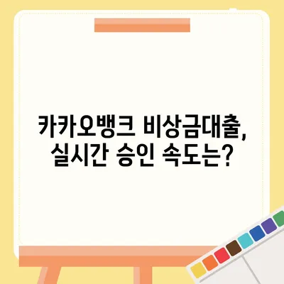 카카오뱅크 pc버전 비상금대출 후기