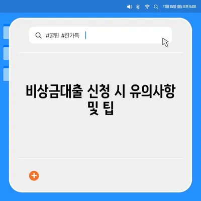 카카오뱅크 pc버전 비상금대출신청