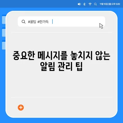 카카오톡 알림