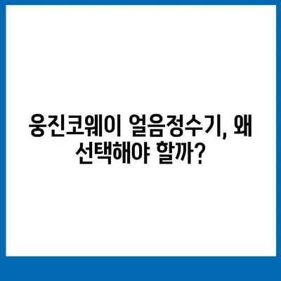 웅진코웨이 얼음정수기 렌탈 | 추천을 따른 완벽한 선택