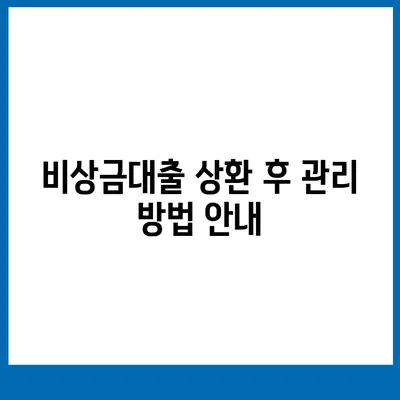 카카오뱅크 pc버전 비상금대출상환