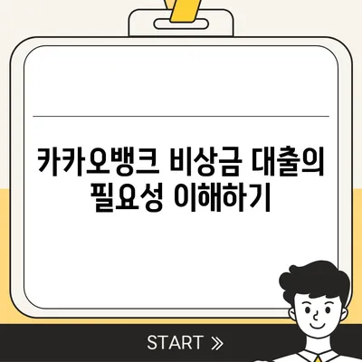 카카오뱅크 비상금 대출 신청법 전수