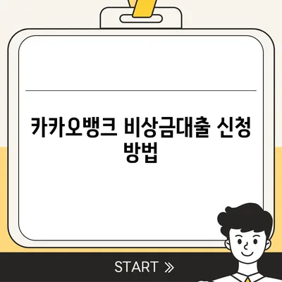 카카오뱅크 비상금대출 후기