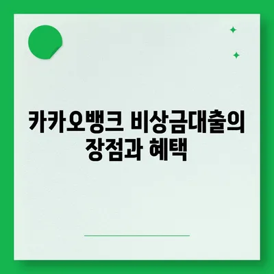 카카오뱅크 pc버전 비상금대출신청