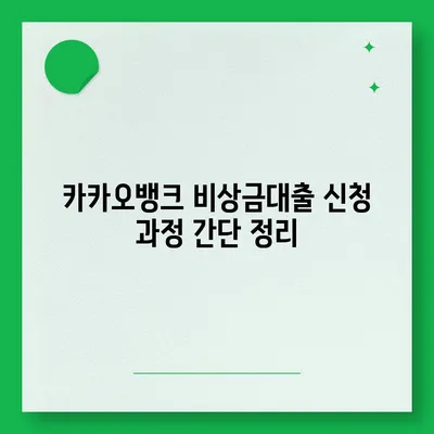 카카오뱅크 pc버전 비상금대출 pc버전 후기