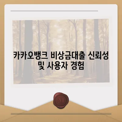 카카오뱅크 pc버전 비상금대출 pc버전 거절