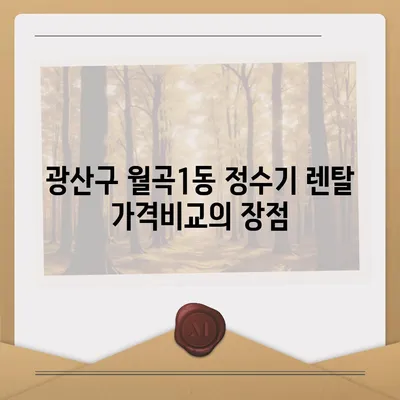 광주시 광산구 월곡1동 정수기 렌탈 | 가격비교 | 필터 | 순위 | 냉온수 | 렌트 | 추천 | 직수 | 얼음 | 2024후기