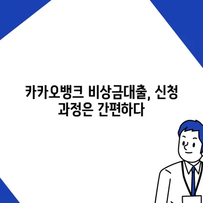 카카오뱅크 pc버전 비상금대출 후기