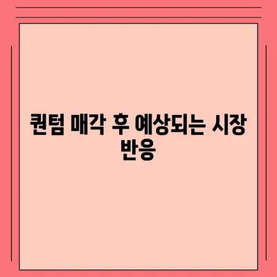 카카오골프 퀀텀 매각 이슈와 기업 대응 방안