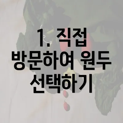 1. 직접 방문하여 원두 선택하기