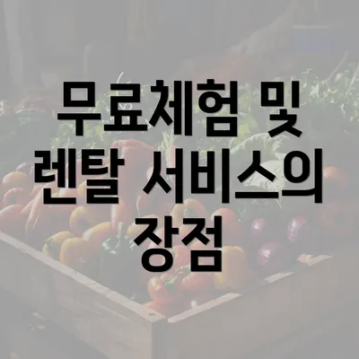 무료체험 및 렌탈 서비스의 장점