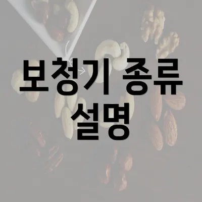 보청기 종류 설명