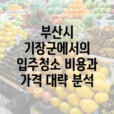 부산시 기장군에서의 입주청소 비용과 가격 대략 분석