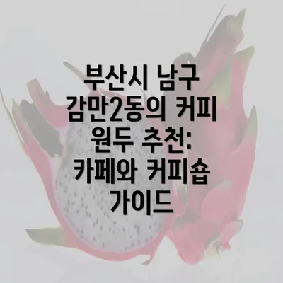 부산시 남구 감만2동의 커피 원두 추천: 카페와 커피숍 가이드